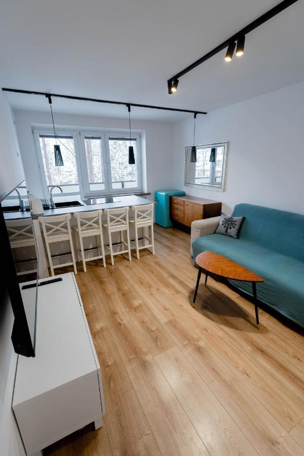 Apartament Baca Apartzakop ザコパネ エクステリア 写真