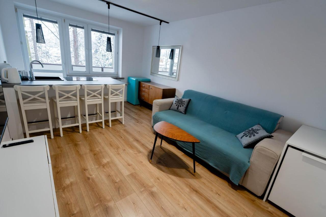Apartament Baca Apartzakop ザコパネ エクステリア 写真
